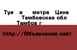 Туи 3 и 3,5 метра › Цена ­ 4 000 - Тамбовская обл., Тамбов г.  »    